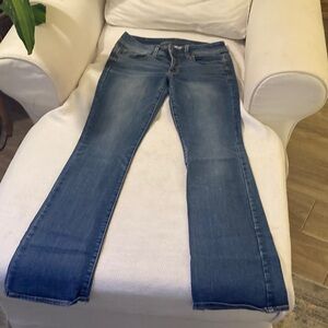 American Eagle Outfitters Blue Flare Jeans